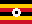 UG flag